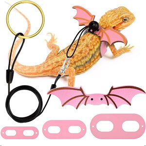 gJQpn[lX ঒ [h 3TCY ߉\ RE̗  ybgn[lX[h  [v o Up nEB (sN)