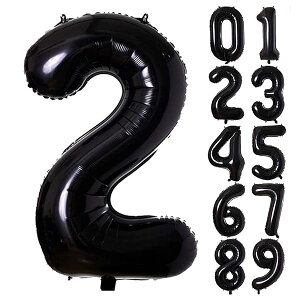 o[ A~D 2 io[ 40C` 傫 a nbs[o[Xf[ t EFfBO LO p[eB[  90cm ubN