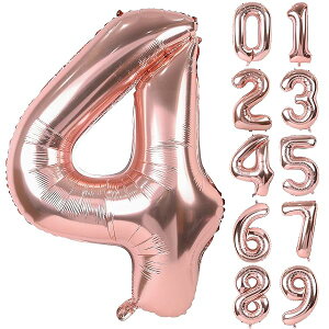 o[ A~D 4 io[ 40C` 傫 a nbs[o[Xf[ t LO p[eB[ 90cm [YS[h