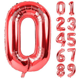 o[ A~D 0 io[ 40C` 傫 a nbs[o[Xf[ t  LO p[eB[ 90cm bh