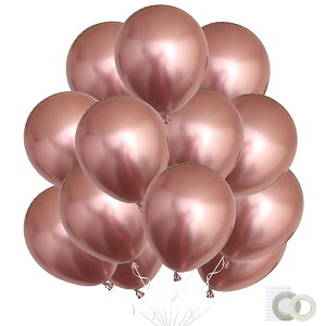 o[ D 50 10C` Eh ^bNJ[ SD  t a  l p[eB[ Ղ  PF [YS[h