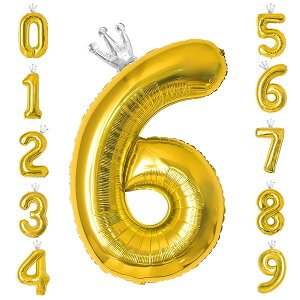 o[  D a 40C` 傫 io[6 o[Xf[o[ t NE t  p[eB[ LO EFfBO S[h