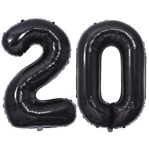 101cm o[A~20 wED o[20 0-100 a J[jo tLOp[eB[20 jp 傫 wE