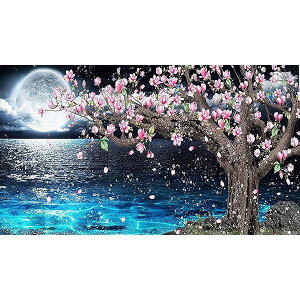 _ChA[g Lbg 5D _ChhLbg UCNA[g DIY G |Lbg _CAhr[YGLbg Sʓ\t^Cv