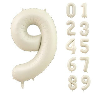 o[ A~D 9 io[ 40C` 傫 a nbs[o[Xf[ t EFfBO LO p[eB[  90cm ݃zCg