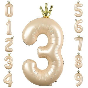 o[  D a 40C` 傫 io[3 o[Xf[o[ t NE t  p[eB[ LO EFfBO L