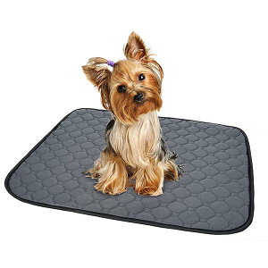 ybgV[c 􂦂 L p pbh ybgp gC~}bg  􂦂 EL R(O[M 񖇃Zbg)