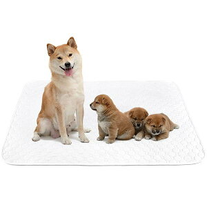 ybgV[c 􂦂 L p pbh ybgp gC~}bg  􂦂 唻TCY ɍœKizCgXL 񖇃Zbgj