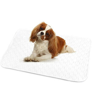 ybgV[c 􂦂 L p pbh ybgp gC~}bg  􂦂 唻TCY ɍœK(zCgM 񖇃Zbg)