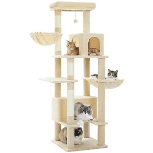 Lbg^[  ^Lp X L^[ ^ ܌ R nbN u ȃXy[X lC  킢 Vv  ^s   ^L - x[W 170cm