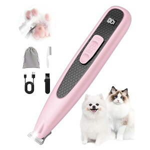 ybgpoJ poJ LEDCg Tpye-c[dR[hX SҌ̎g~O (sN)