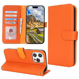 Ή iPhone 13 Pro Max P[X 蒠^ J[h[ X^h@\ ACtH12v}bNX P[X {v e ϏՌ iPhone13ProMax P[X 蒠^ iPhone 12 Pro Max U[ Jo[ IW