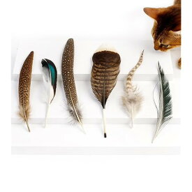 猫 おもちゃ 羽 天然 猫じゃらし 【羽根限定】 鳥毛 6種 知育玩具 一人遊び 室内運動 ストレ