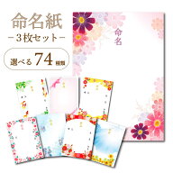 //新デザイン追加// 命名書 オーダー おしゃれ 用紙のみ 台紙のみ 選べる 3枚セット ガイド 代筆なし 命…