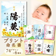 //新デザイン追加// 命名書 オーダー おしゃれ プリント 季節 和柄 洋柄 代筆 命名紙 赤ちゃん 新生児 筆…