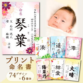 //新デザイン追加// 命名書 オーダー おしゃれ プリント 季節 和柄 洋柄 代筆 命名紙 赤ちゃん 新生児 筆文字 かわいい 手形足形 インスタ映え 出産祝い 内祝い 出産 記念品 贈り物 誕生記念 プレゼント ニューボーンフォト ニューボーン 名前入り 名入れ 女の子 手形 足形