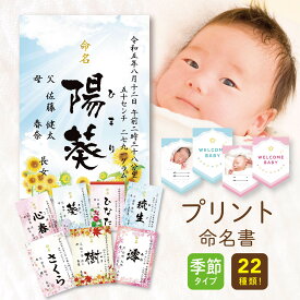 命名書 オーダー おしゃれ プリント 季節柄 代筆 命名紙 赤ちゃん 新生児 筆文字 かわいい インスタ映え 出産祝い 内祝い 出産 記念品 贈り物 誕生記念 プレゼント ニューボーンフォト ニューボーン 名前入り 名入れ 女の子