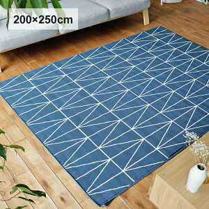 ���O�}�b�g Neo�i�l�I�j 200×250cm ���O ���O�}�b�g �J�[�y�b�g �����` ���g ���g�[ �z�b�g�J�[�y�b�g�Ή� �􉽊w �V���v�� ������� �l�C �l�I neo �x���M�[ �l�C�r�[ �z���C�g �k�� ���m�g�[��