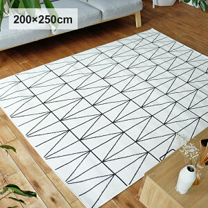 ���O�}�b�g Neo�i�l�I�j 200×250cm ���O ���O�}�b�g �J�[�y�b�g �����` ���g ���g�[ �z�b�g�J�[�y�b�g�Ή� �􉽊w �V���v�� ������� �l�C �l�I neo �x���M�[ �l�C�r�[ �z���C�g �k�� ���m�g�[��