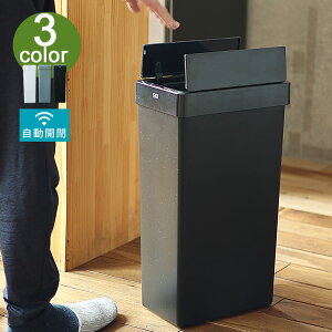 EKO エックスウイングライト センサービンEKO ゴミ箱 30L エックスウイングライトセンサービン ポリプロピレン センサー式 ごみ箱 自動開閉 センサー 30リットル キッチン スリム くず入れ イ