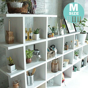 tBYVFt MTCY tBYVFt Fizz shelf VFt {I rO[ VFt Lrlbg bN [Ƌ ؐ Ebh k i` Be[W re[W JtF uE