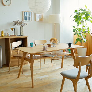 _CjOe[u@adishiAfBbVji`^Cv _CjOe[u ` It [t e[u He[u 150cm 4l _CjO AbV AbV ؐ k i`