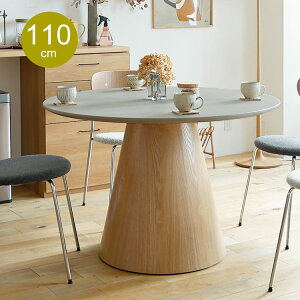 ~`_CjOe[u@CodyiRfBj _CjO e[u _CjOe[u ۃe[u H ~` ی^ ~ RN[g 110 a110 4l He[u i` AeB[N k 