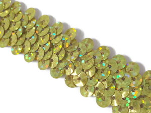 L| y!nMR[i[zNo.h1173_1_XpR[u[h {iLjFiS[hj2cm×1mi|pj V[NC Sequin