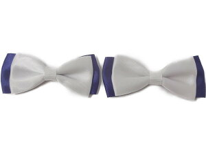 L| No.4785 t[ `[tiFj3cm×5cm×2 i|pj