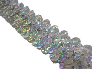 L| yInMR[i[zNo.h1910_1_XpR[u[h {iLjFiVo[j2cm×1mi|pj V[NC Sequin