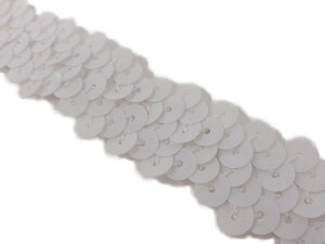 L| ynMR[i[zNo.h2001_1_XpR[u[h {_F_2cm×1mi|pj V[NC Sequin