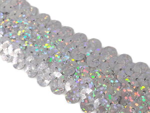 L| yInMR[i[zNo.h5073_1_XpR[u[h {iLjFiVo[j2.5cm×1mi|pj V[NC Sequin