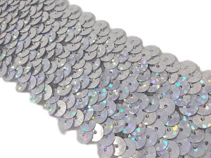 L| yInMR[i[zNo.h1184_1XpR[u[h {iLjFiVo[j4cm×1mi|pj V[NC Sequin