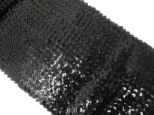 L| No500XpR[u[h {k^Cv_FiubNj_22cm×1myXgb`zi|pj V[NC Sequin