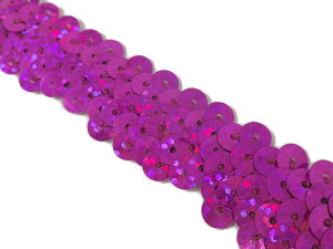 L| yInMR[i[zNo.h1906_2LXpR[u[h {_Fip[vj_2cm×0.5mi|pj V[NC Sequin