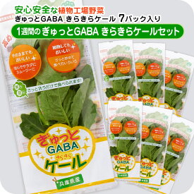 1週間分の「ぎゅっとGABAケールセット」 7パックセット生 ケール GABA 栄養 血圧 機能性表示食品 野菜セット 安心 安全 健康 日本製 国産 兵庫県産 産地直送 お取り寄せ サラダ スムージー 植物工場