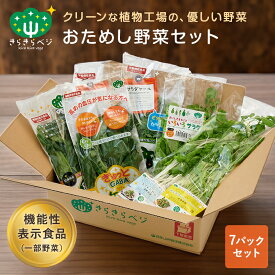 ★期間限定5%OFF&P8倍 24日20:00～27日9:59★ きらきらベジ お試し 野菜セット 送料無料 宅配 健康 栄養 安心 安全 生野菜 ビタミンC ルテイン GABA セット 詰め合わせ ギフト 国産 日本製 お取り寄せ 産地直送 採れたて 福井県産 ケール クレソン セロリ