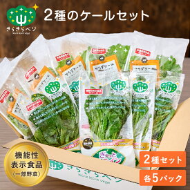 【最大10％OFFクーポン 9日20:00〜16日1:59】 きらきらベジ 2種類のケールセット 2種類 ケール 野菜 セット サラダ 生野菜 新鮮 クール便 安心 安全 栄養 健康 ルテイン ビタミンC 日本製 国産 兵庫県産 個包装 産地直送 採れたて ギフト お取り寄せ グルメ