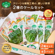 【5％OFFタイムセール!4日20:00〜11日1:59】 きらきらベジ 2種類のケールセット 野菜セット 送料無料 ケ…