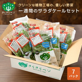 1週間分のサラダケールセット　きらきらベジ サラダケール7パック 野菜セット　送料無料 野菜 セット お取り寄せ 宅配 安心 安全 サラダ 採れたて 生野菜 スムージー 国産 健康 栄養 ビタミンC 詰め合わせ