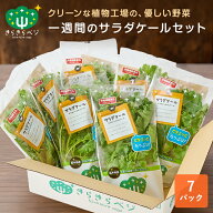 【5％OFFタイムセール!4日20:00〜11日1:59】 1週間分のサラダケールセット きらきらベジ サラダケール7パ…