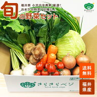【5％OFFタイムセール!4日20:00〜11日1:59】 野菜セット きらきらベジ 詰め合わせ 生野菜 旬 厳選 ギフト…