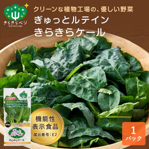 �y�ő�10��OFF�N�[�|���I20��20:00�`26��1:59�z �@�\���\���H�i ������ƃ��e�C�� ���炫��P�[�� 1�p�b�N