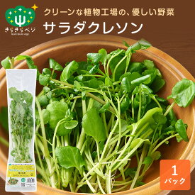 ★最大10%OFFクーポン★ きらきらベジ サラダクレソン 1パック