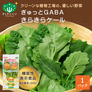 @\\Hi GABAP[ 1pbN  P[ GABA h{  @\\Hi S S N { Y䌧Y Yn  T_ X[W[ AH