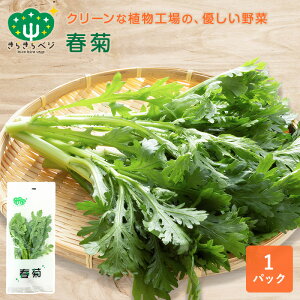 �t�e 1�p�b�N ���炫��x�W �t�� ��� �t����� �V�N ���S ���S ���N ���{�� ���Y ���䌧�Y �Y�n���� ������ �T���_ �X���[�W�[ �A���H�� �̂ꂽ��