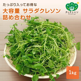 ★15%OFF&P2倍&最大10%OFFクーポン★ 大容量 クレソン 1kg詰め合わせ 野菜 お得 鍋野菜 冷凍保存可能 きらきらベジ 業務用 大量 葉物野菜 冬 旬野菜 健康 たっぷり