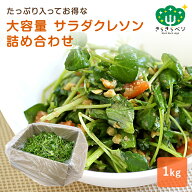 【初回限定!100円OFFクーポン】 大容量 クレソン 1kg詰め合わせ 野菜 お得 鍋野菜 冷凍保存可能 きらきら…