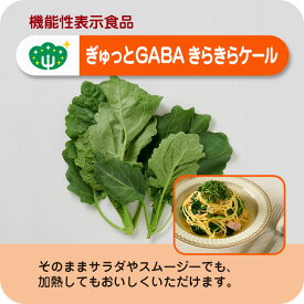 機能性表示食品 ぎゅっとGABAケール 1パック 生 ケール GABA 栄養 血圧 機能性表示食品 安心 安全 健康 日本製 国産 兵庫県産 産地直送 お取り寄せ サラダ スムージー 植物工場