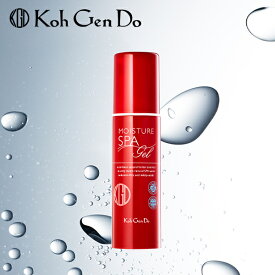 【ポイント最大27倍】江原道 オールインワン モイスチャー ジェル 100g 正規品 ギフト対応可